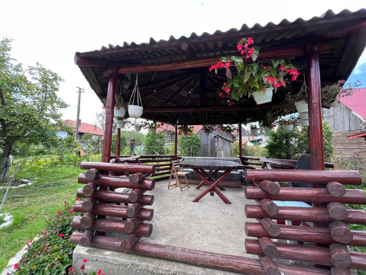 Casa Helen Insurance&Tourism Guest House Galautas Exterior photo